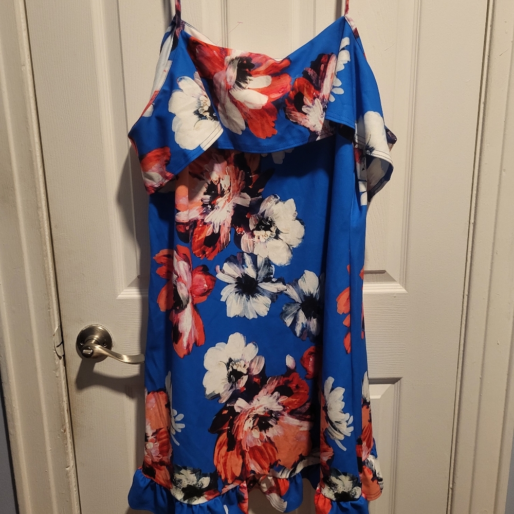 Sleeveless Floral Dress NWT Size22